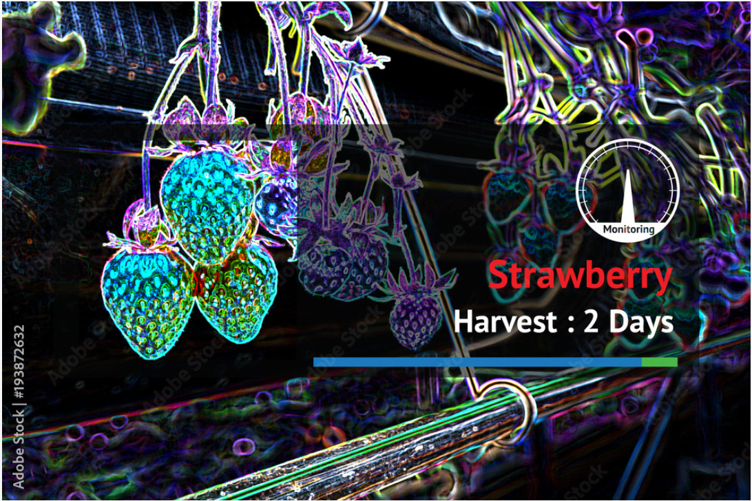 画像処理・AI判定