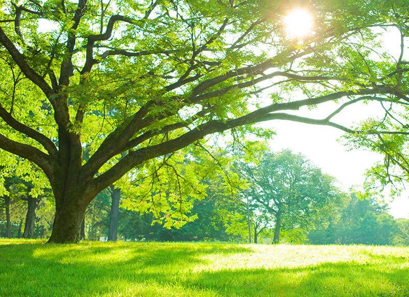 品質方針・環境方針のイメージ画像